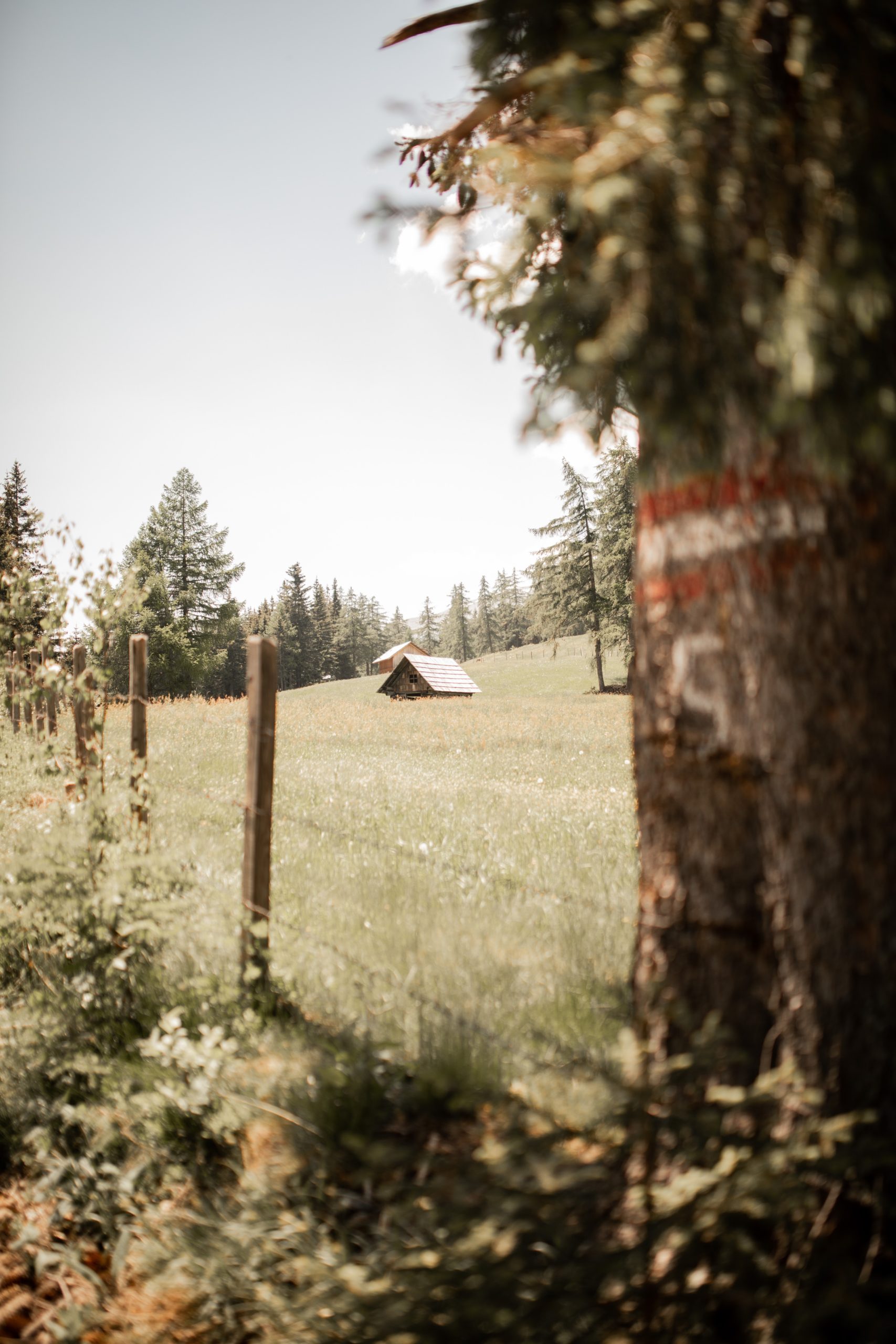 Fender Chalets Sommer