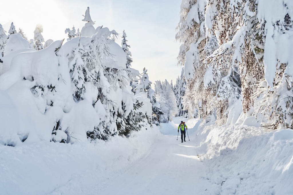 Fender Chalets Skitouren Fender Chalets